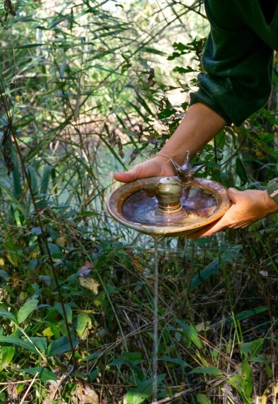 Waterschaal. Geef het water terug aan de natuur